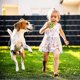 thumbnail image 3 of Dog Ball Toy Non Toxic Dog Puppy Cat Teeth Cleaning Teeth Cleaning Training Ball Gift, 3 of 4