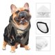 thumbnail image 3 of Balery Vintage Dog Illustration Sudadera con Capucha para Perros Pequeños – Ropa para Mascotas, Disfraz para Perros y Gatos, Ideal para Fiestas y Cosplay-Medium, 3 of 7