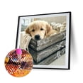 thumbnail image 2 of MesaSe Kits de Peinture DIY 5D, Art de Résine Mosaïque de Chien Rural à Perçage Complet, 2 of 8