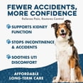 thumbnail image 5 of BestLife4Pets Dog UTI & Kidney Support - Natural Urinary Tract Infection Supplement for Renal and Bladder Control – 400 Pills, 5 of 13