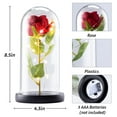 thumbnail image 2 of Ninonly Red Rose Light Gifts for Mom Wife, Preserved Forever Rose Flower with LED Lights, Red Rose Flower Gifts for Mother's Day Wedding Anniversary Birthday Valentines Christmas Day, 2 of 7