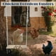 thumbnail image 4 of Columpio de Juguete para Gallinero Grande, Juguete de Enriquecimiento de Pollo para Gallinas y Gallos, Accesorios de Madera para Gallinero, 4 of 5