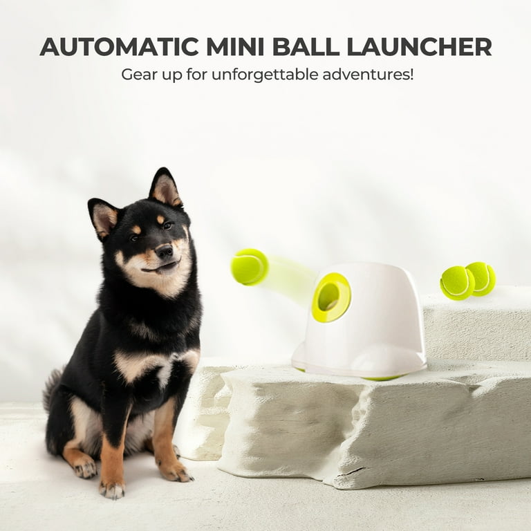 All for Paws Advanced Pet Toys Hyper Fetch Mini