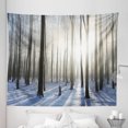 thumbnail image 1 of Winter Tapestry, Wintertime Forest on a December Morning Snowy Sunshine Shadows Trunk, Fabric Wall Hanging Decor for Bedroom Living Room Dorm, 5 Sizes, Pale Yellow Bluegrey, by Ambesonne, 1 of 1
