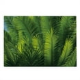 thumbnail image 2 of Palm Tree Cutting Board, Plam Tree Foliage Tropical Plants Leaves Forest Theme Exotic Natural Beauty Image, Decorative Tempered Glass Cutting and Serving Board, Large Size, Green, by Ambesonne, 2 of 5
