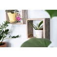 thumbnail image 5 of BARNWOODUSA Rustic Shelves, Square Floating Wood Shadowbox, Home Decor, Set of 3 (Natural Weathered Gray), 5 of 5
