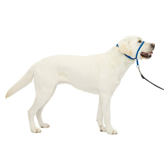 PetSafe Gentle Leader Headcollar, No-Pull Dog Collar, Large 60-130 Lb., Blue