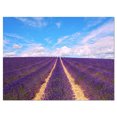thumbnail image 2 of Blooming Lavender Flower Field - Oversized Landscape Wall Art Print, 2 of 3
