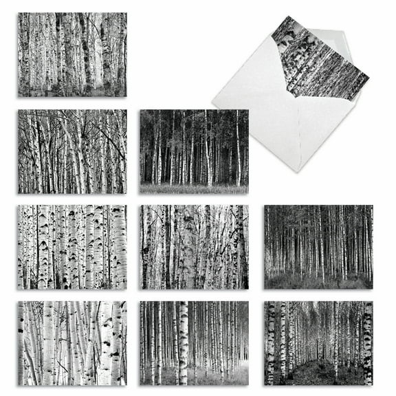10 All Occasion Blank Note Cards Assorted (4 x 5.12 Inch) - WHITEWOODS M6451OCB