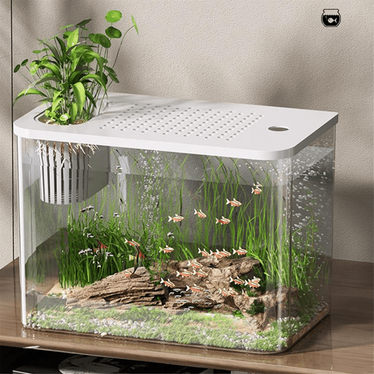 Fish Tank Aquarium Transparent Desktop Tank Turtle Aquarium Small Aquariums Decorative Fish Container for Fish White