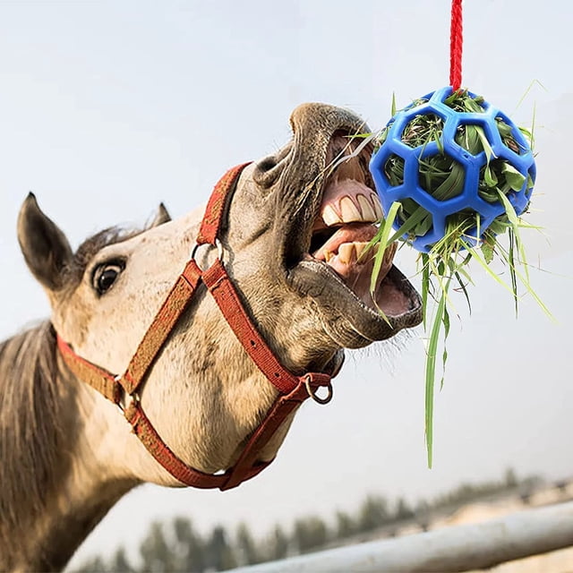 BEMS-1 pieza, pelota de regalo para caballos, alimentador de heno colgante estable, pelota de juguete