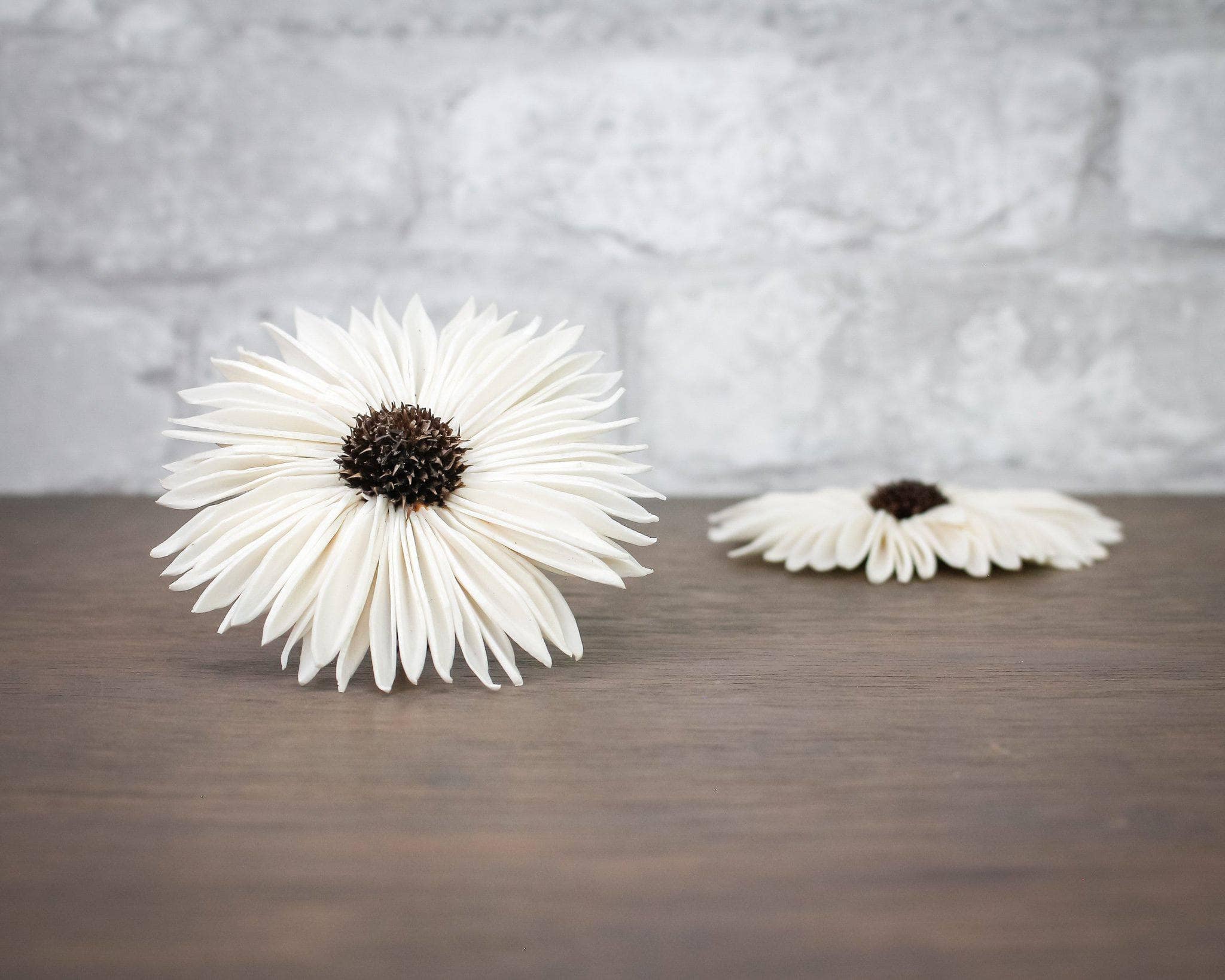 2" Autumn Sunflower (10 pack)