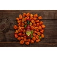 thumbnail image 2 of Tabasco Pepper Sauce, Habanero, 128 Ounce, 2 of 3