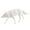 white-5C-home supplies, variant on ABPWLY Toys Simulation White Wolf Model Roaring Wolf Figure Desktop Sand Table Decoration Ornament with Realistic Details Fidget Toys