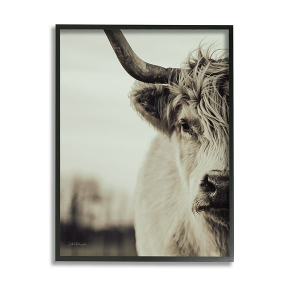 Stupell Industries Highland Cow Face Portrait Animals & Insects Photography Black Framed Art Print Wall Art, 11 x 14