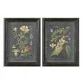 thumbnail image 1 of Uttermost Midnight Botanicals MDF Wood Wall Art in Multi-Color (Set of 2), 1 of 3