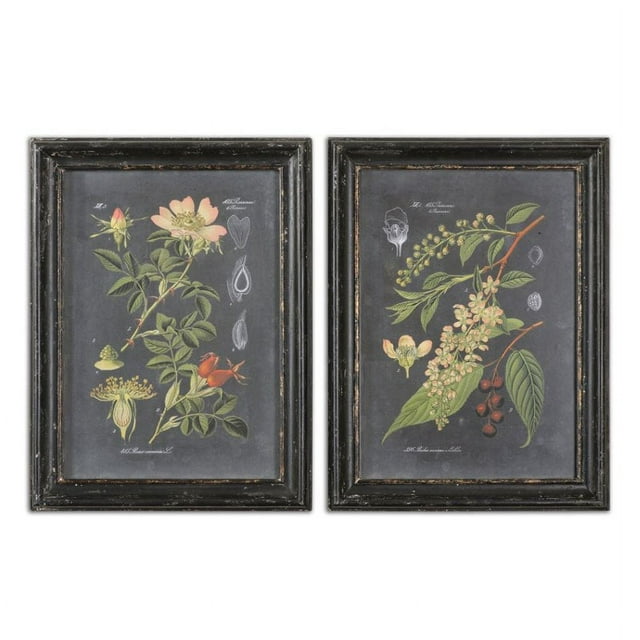 Uttermost Midnight Botanicals MDF Wood Wall Art in Multi-Color (Set of 2)