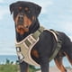 thumbnail image 5 of Correa para el pecho para perros, chaleco acolchado suave ajustable, chaleco reflectante fácil de caminar para mascotas de tamaño mediano, 5 of 5