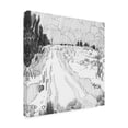 thumbnail image 2 of Jacob Green 'Wildland Sketch II' Canvas Art, 2 of 3