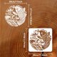thumbnail image 2 of Plantilla Koi para pintar, 30x30 cm (11,8x11,8 pulgadas), carpa grande, reutilizable, patrón de pez de la suerte, plantilla de dibujo, tema animal, estilo oriental, decoración de pared y suelo, 2 of 9