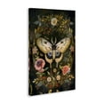 thumbnail image 3 of Stupell Industries Victorian Botanicals & Moth Floral Painting Wrapped Canvas Canvas Art Print Wall Art, 20 x 30, 3 of 7