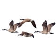 thumbnail image 3 of CafePress - Flock Of Canadian Geese Mug - 11 oz Ceramic Mug - Novelty Coffee Tea Cup, 3 of 6
