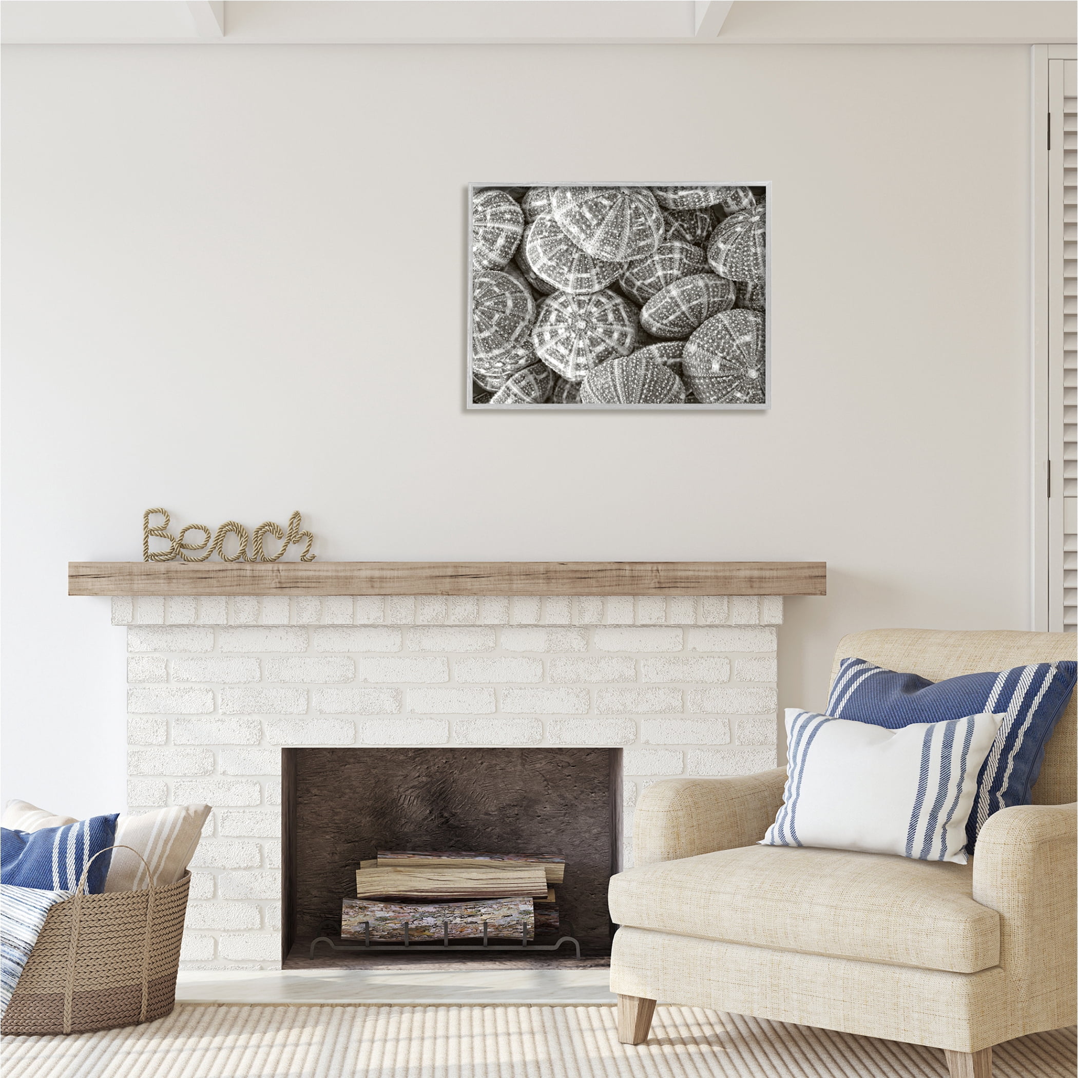 Stupell Industries Pewter Sea Urchins Photography Animals & Insects Photography Gray Framed Art Print Wall Art, 30 x 24