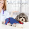 thumbnail image 2 of Pet Surgical Suit Wide Coverage Breathable Elastic Pet Alternative Recovery Costume For Treatment, 2 of 3