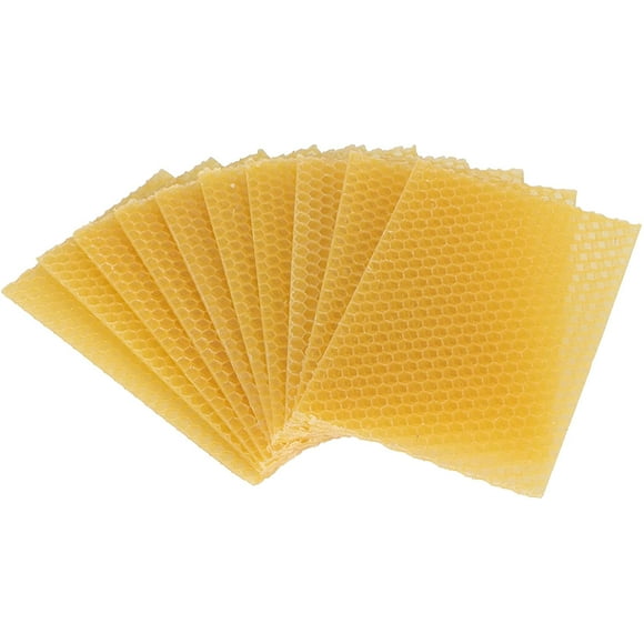 fowinker Honey Sheets Beehive Wax 10PCS Beeswax Beekeeping Nest Box Nest Foundation Beeswax Honeycomb Sheets Beekeeping Raising Tools