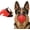 Red-black, variant on Dog Muzzle for Large & Medium Sized Dogs, Bite Proof & Anti Licking - Soft TPR Safety Muzzle with Adjustable Hawk-Beak Design for Walking, Grooming, Vet Visits, Gentle and Breathable