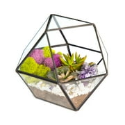 Creations by Nathalie | Geometric Terrarium | Handmade in USA - Assembled 6" x 6" x 7"