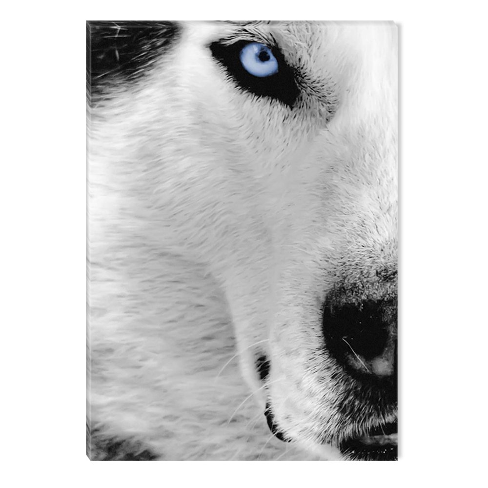 Startonight Canvas Wall Art Black and White Abstract White Wolf, Dual