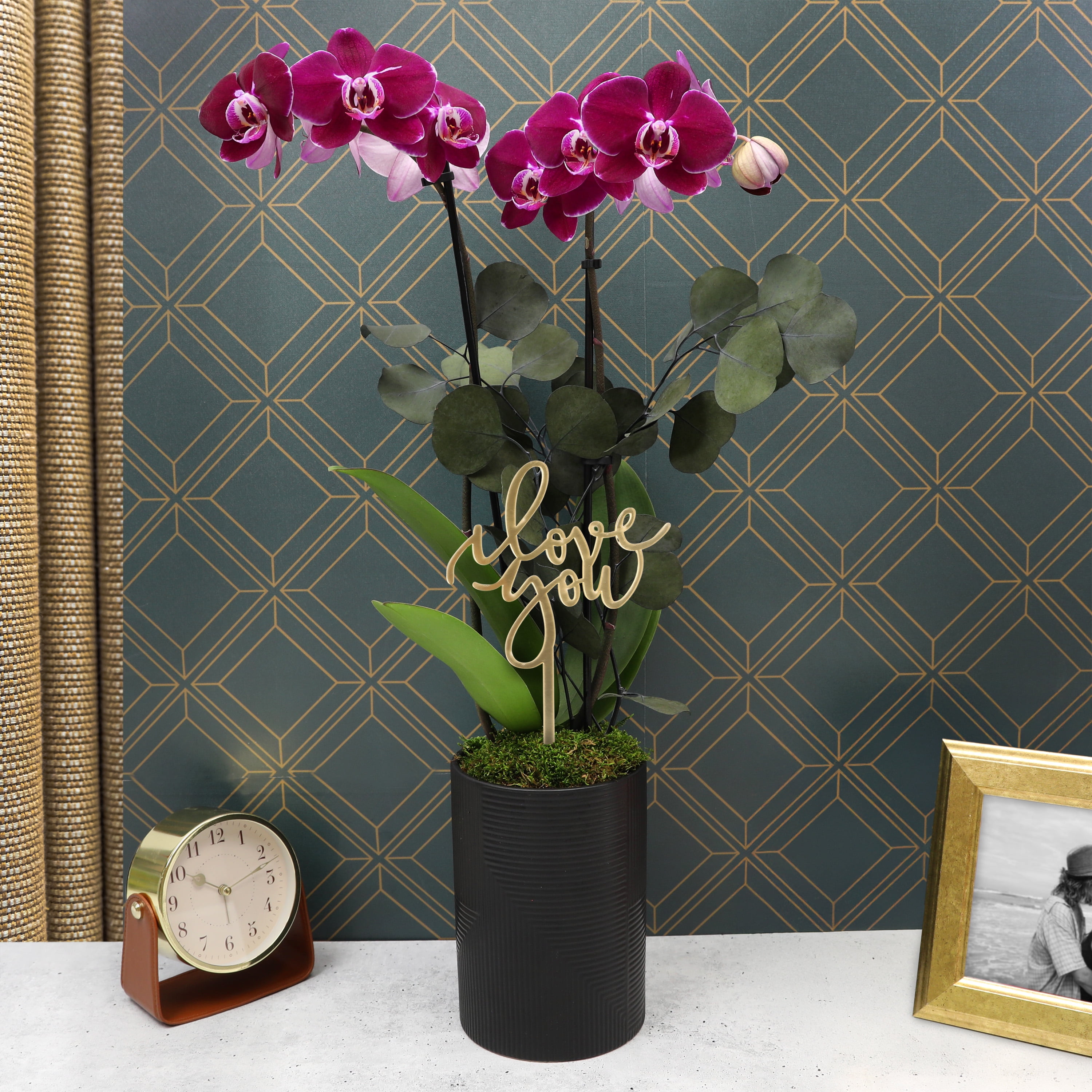 5” Dark Purple Orchid Garden in Black Rockefeller Pottery with Preserved Green Stems – Love You Collection