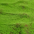 50X50cm Artificial Grass Rug Fake Moss Lawn Garden Landscape Turf Roll ...