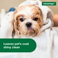 thumbnail image 4 of Advantage Dog Flea & Tick Shampoo for Puppies & Adult Dogs, Kills Fleas & Ticks, 8 oz., 4 of 6