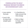 thumbnail image 4 of Nutrience Care Cat Weight Management Dry Cat Food, 5-kg bag, 4 of 5