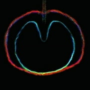 Wasp Star (Apple Venus Volume 2) XTC Audio CD NEW