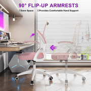 Biggzia Ergonomic Office Chair, Mid-Back Computer Chair with Adjustable Height, Flip-Up Arms and Lumbar Support, Mesh Desk Chair, Pink