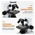 thumbnail image 7 of 40X-2500X Microscopes For Kids Students Adults Powerful Biological Educational Microscopes With Slides Set Phone Adapter, 7 of 7