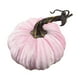 thumbnail image 2 of Calabazas de terciopelo de 7,9 pulgadas | Adornos otoñales de peluche supersuaves para Halloween y Acción de Gracias | Centro de mesa para el hogar, 2 of 2