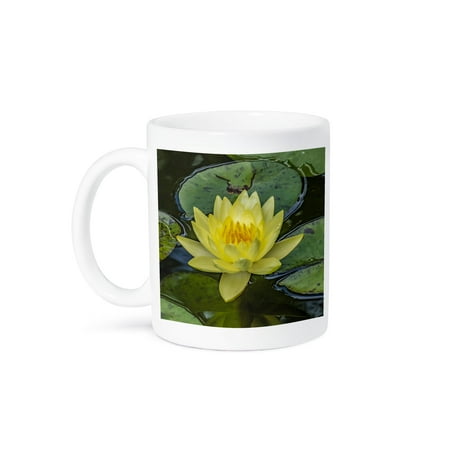 

3dRose Nymphaea Vizcaya Museum and Gardens Miami Florida. 15oz Mug