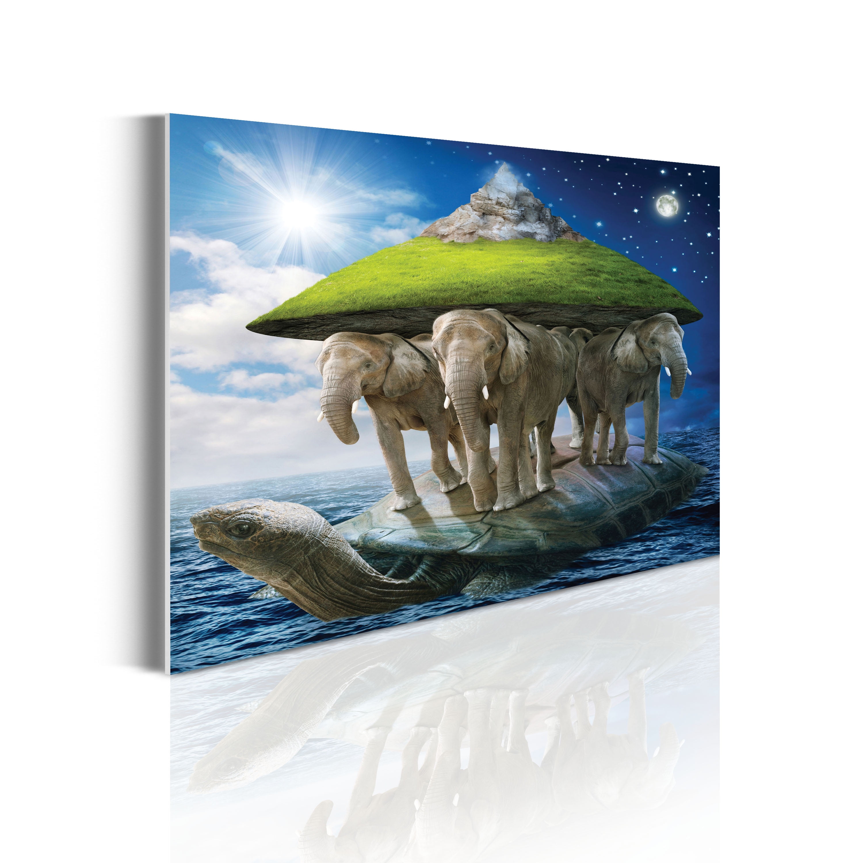 Animal Acrylic Glass Wall Art, Turtle Carrying the World on Its Back Wild  Animals Mountains Grassland, Accent Decor for Living Room Bedroom & Dorms,  