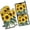 Sunflowers On Vintage, variant on Two Roosters with Flowers Kitchen Oven Mitt and Pot Holder Sets 4 Pcs for Baking, Cooking and Grilling, Heat Resistant Up To 392 °F