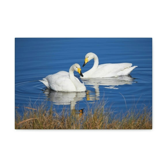 Funny Whooper Silly Whooper Scene Couple Wall Art Ready to Hang Unframed
