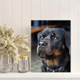 thumbnail image 2 of Qisvanset Tabby Cat Wildflower Canvas Print 12x16 Inch Living Room Decor, 2 of 8