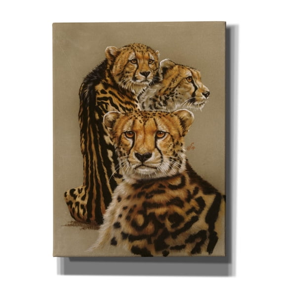 Epic Graffiti 'Majestic Vagabond' by Barbara Keith, Canvas Wall Art, 40"x54"