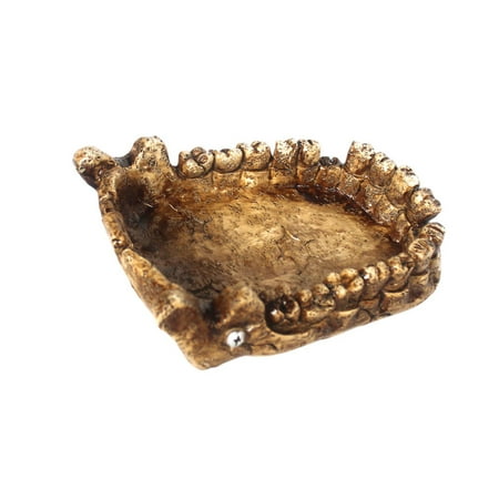 balikha Reptile Feeding Bowl Habitat Accessories Simulation Dinosaur Jaw Shape for Pet Supplies Frogs Bearded Dragons Chameleon Gecko