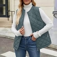 thumbnail image 6 of thefmos Women Plus Size Fall Winter Sleeveless Zipper Vest Casual Warm Basic Outerwear Solid Color Packable Vest with Pockets for Travel Vacation, Gray 3XL, 6 of 9