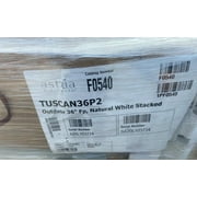 Astria Tuscan 36 Outdoor Wood-Burning Fireplace Tuscan36P2