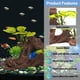thumbnail image 2 of Se utiliza para la decoración de acuarios y peceras, plantas de acuario y plantas artificiales., 2 of 5